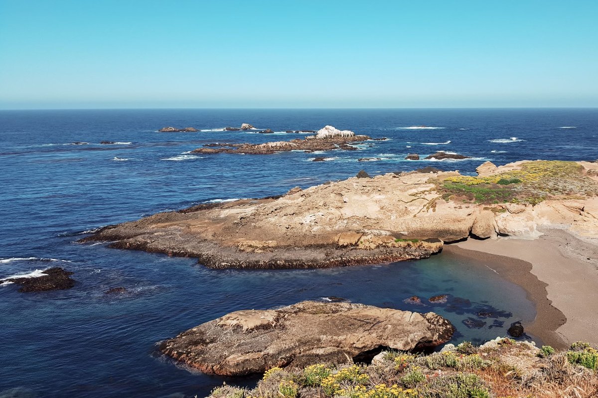 coastline at Point Lobos