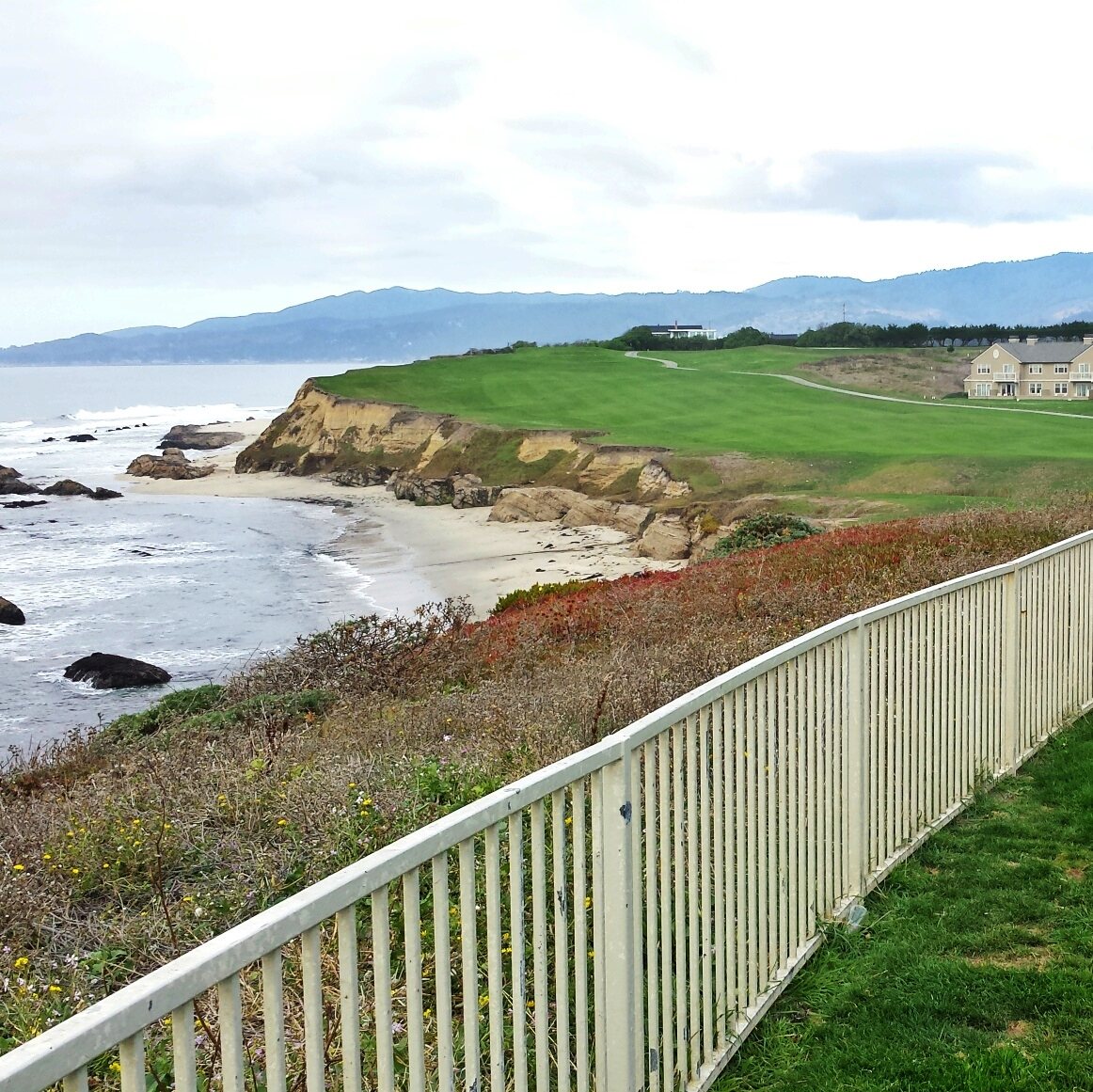the harbor at Half Moon Bay