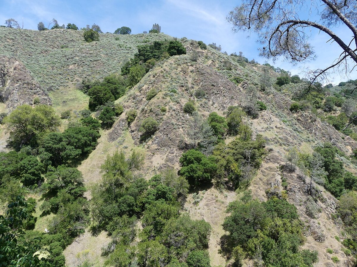 Alum Rock Park canyon trail with oak trees and creek in San Jose