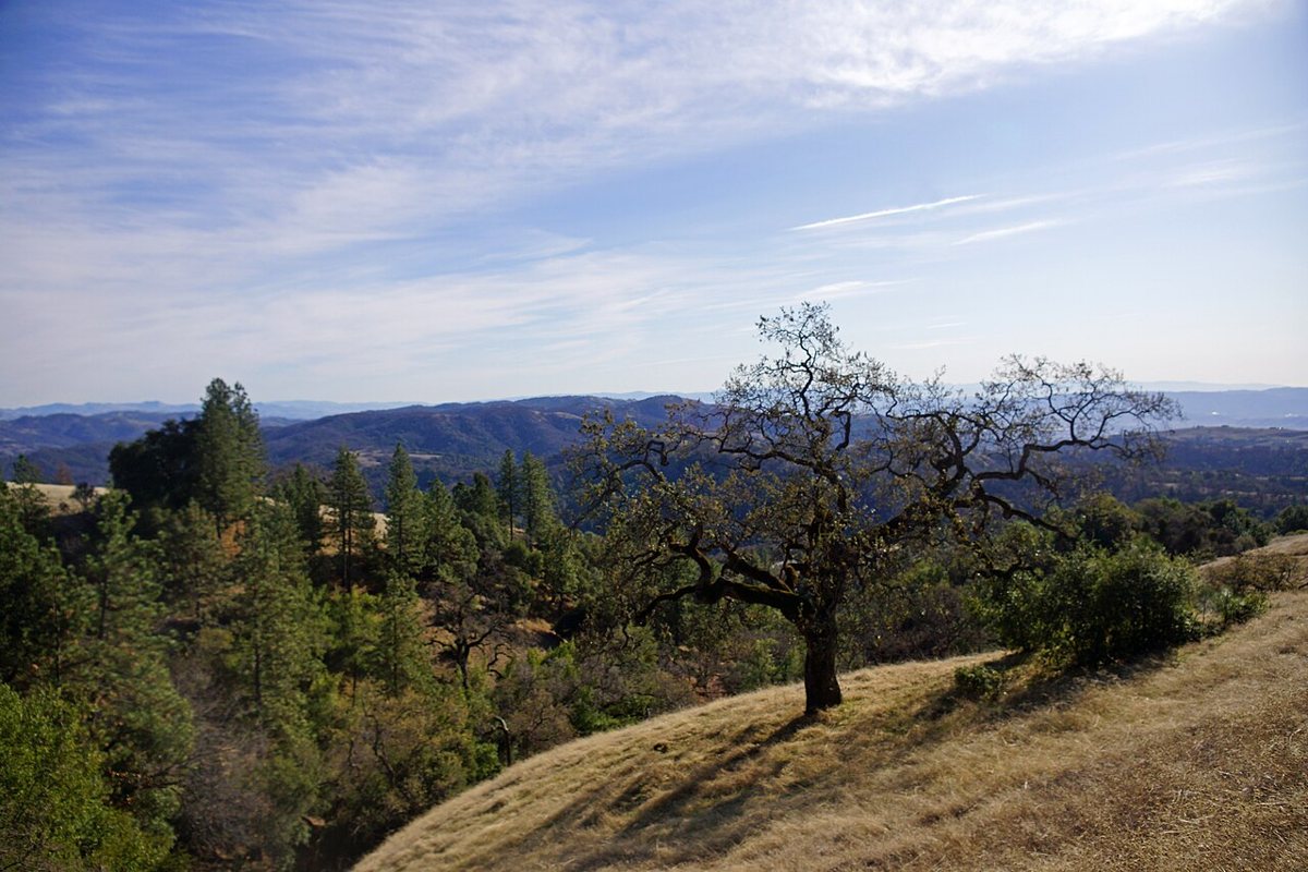 Henry W. Coe State Park backcountry ridgeline trail near Morgan Hill