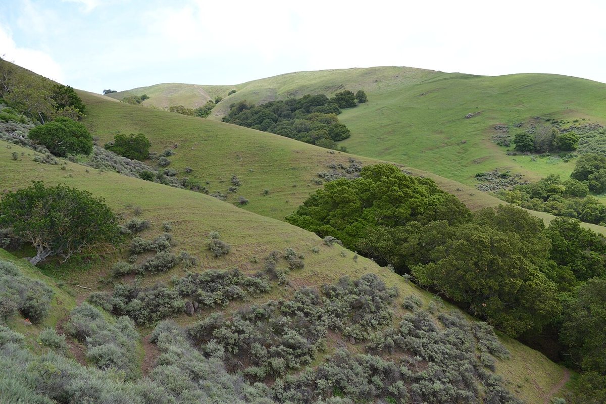Ed R. Levin County Park trail and hills above Milpitas near San Jose