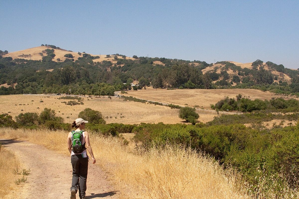 Joseph D. Grant County Park rolling oak grassland near San Jose