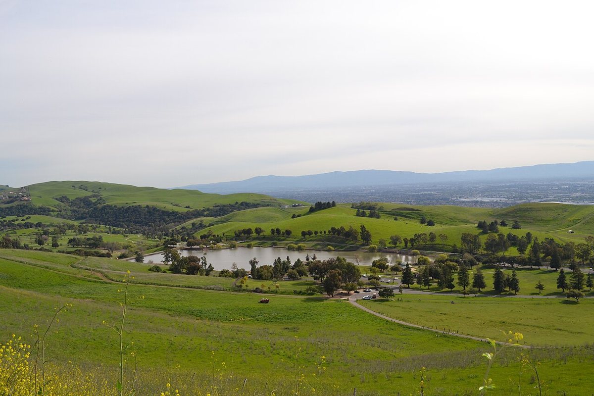 grassy hills and lake at Ed Levin County Park
