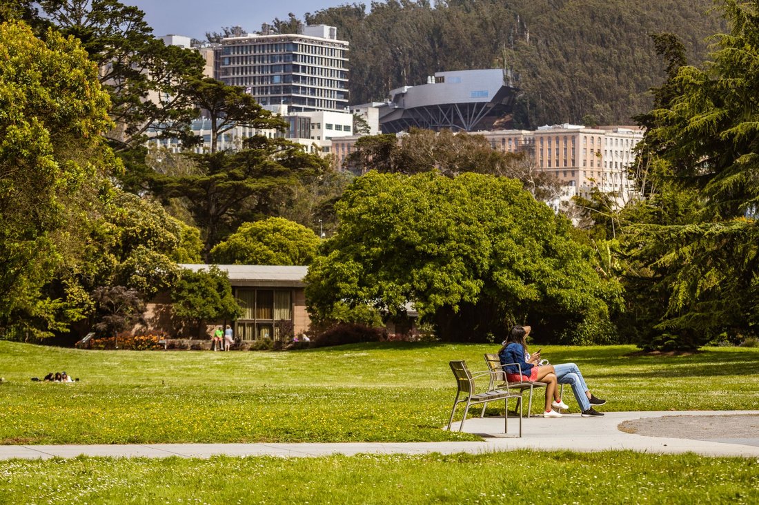 summer things to do in san jose