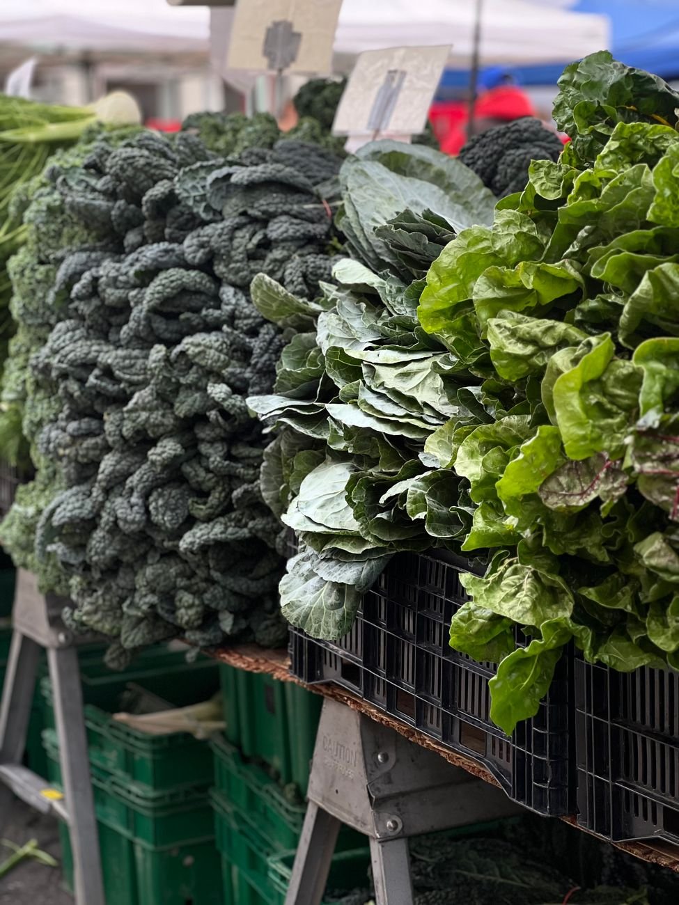 produce stands at the Santana Row farmers market